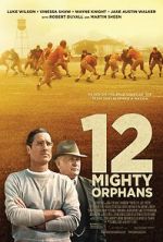 Watch 12 Mighty Orphans Vumoo