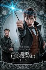 Watch Fantastic Beasts: The Crimes of Grindelwald Vumoo