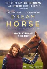 Watch Dream Horse Vumoo