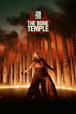 28 Years Later: The Bone Temple vumoo