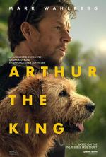 Arthur the King vumoo