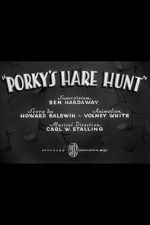 Watch Porky\'s Hare Hunt Vumoo