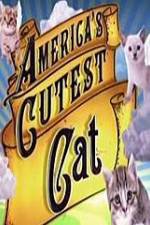 Watch America's Cutest Cat Vumoo