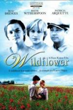 Watch Wildflower Vumoo