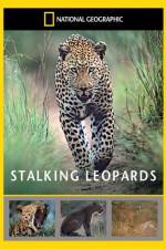 Watch National Geographic: Stalking Leopards Vumoo