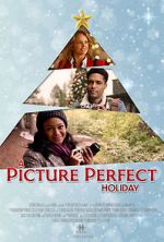 Watch A Picture Perfect Holiday Vumoo