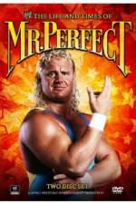 Watch The Life and Times of Mr Perfect Vumoo