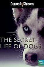 Watch Secret Life of Dogs Vumoo