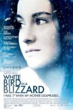 Watch White Bird in a Blizzard Vumoo