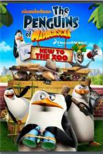 Watch Penguins of Madagascar New to the Zoo Vumoo