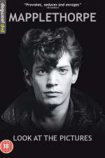 Watch Mapplethorpe: Look at the Pictures Vumoo