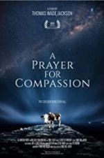 Watch A Prayer for Compassion Vumoo