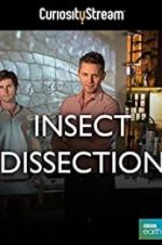 Watch Insect Dissection: How Insects Work Vumoo