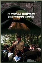 Watch If You Go Down in the Woods Today Vumoo