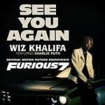 Watch Wiz Khalifa Ft. Charlie Puth: See You Again Vumoo