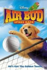 Watch Air Bud Spikes Back Vumoo