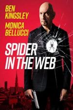 Watch Spider in the Web Vumoo