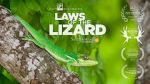 Watch Laws of the Lizard Vumoo