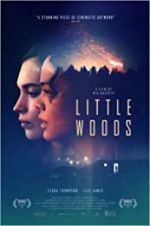 Watch Little Woods Vumoo