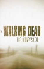 Watch The Walking Dead: The Journey So Far Vumoo