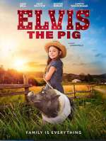 Watch Elvis the Pig Vumoo