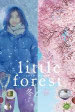 Watch Little Forest: Winter/Spring Vumoo