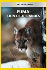 Watch National Geographic Puma: Lion of the Andes Vumoo