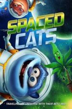 Watch Spaced Cats Vumoo