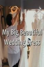 Watch My Big Beautiful Wedding Dress Vumoo