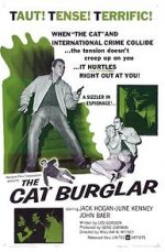 Watch The Cat Burglar Vumoo