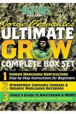Watch Jorge Cervantes Ultimate Grow Complete Box Set Vumoo