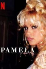 Watch Pamela, a Love Story Vumoo