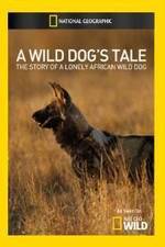 Watch A Wild Dogs Tale Vumoo