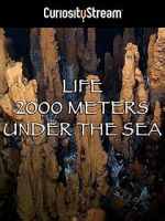 Watch Life 2,000 Meters Under the Sea Vumoo