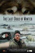 Watch The Last Dogs of Winter Vumoo