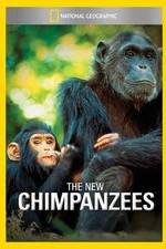 Watch The New Chimpanzees Vumoo