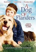 Watch A Dog of Flanders Vumoo