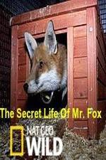 Watch The Secret Life of Mr. Fox Vumoo