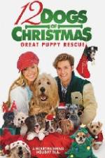 Watch 12 Dogs of Christmas Great Puppy Rescue Vumoo