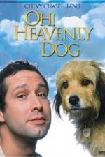 Watch Oh Heavenly Dog Vumoo
