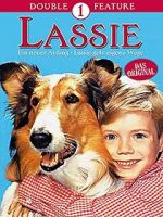 Watch Lassie: A New Beginning Vumoo