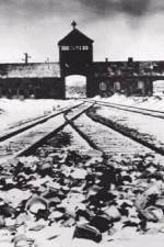 Watch AUSCHWITZ: CORRUPTION Vumoo