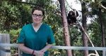 Watch Sue Perkins and the Chimp Sanctuary Vumoo