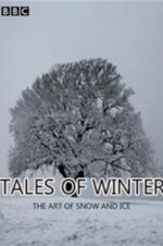 Watch Tales of Winter: The Art of Snow and Ice Vumoo