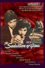 Watch The Seduction of Gina Vumoo