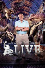 Watch David Attenborough\'s Natural History Museum Alive Vumoo