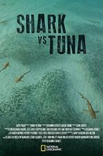 Watch Shark vs Tuna Vumoo