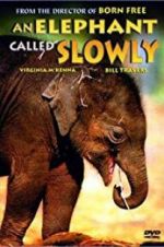 Watch An Elephant Called Slowly Vumoo