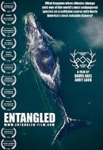 Watch Entangled: The Race to Save Right Whales from Extinction Vumoo