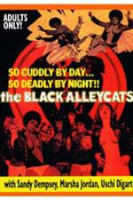 Watch The Black Alley Cats Vumoo